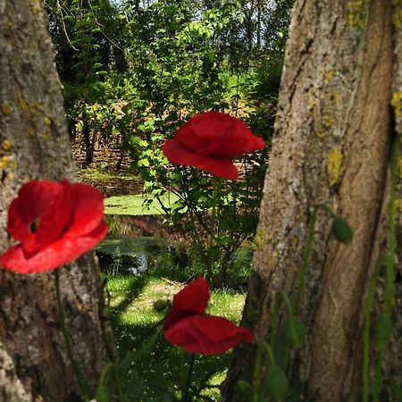 La Villanderie La Folie  Kültér fotó